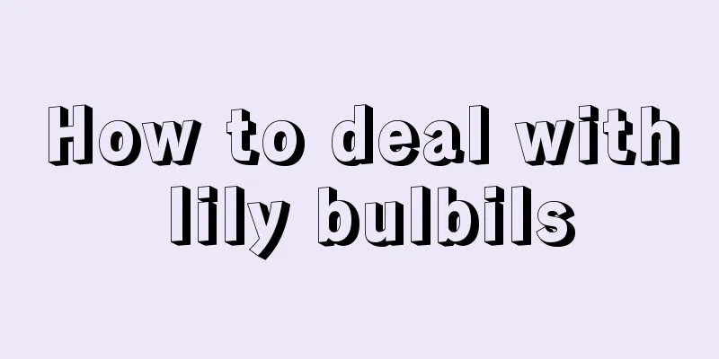 How to deal with lily bulbils