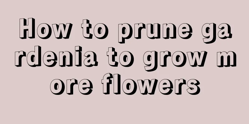 How to prune gardenia to grow more flowers