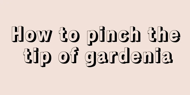 How to pinch the tip of gardenia