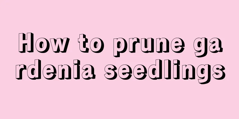 How to prune gardenia seedlings