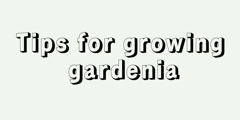 Tips for growing gardenia