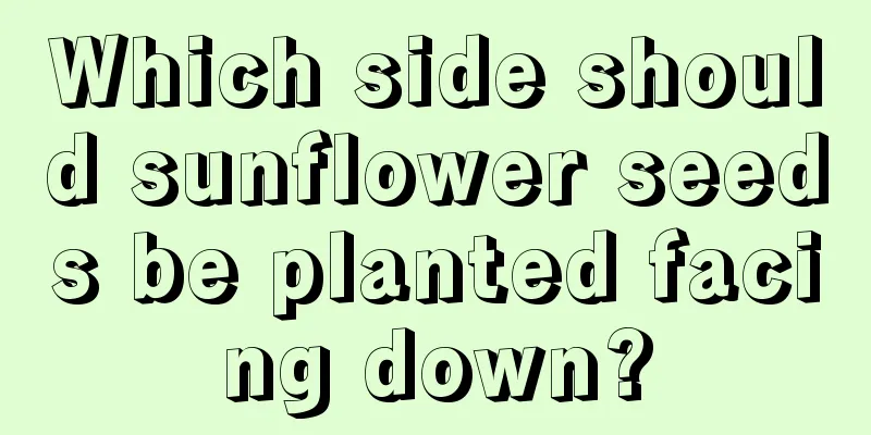 Which side should sunflower seeds be planted facing down?