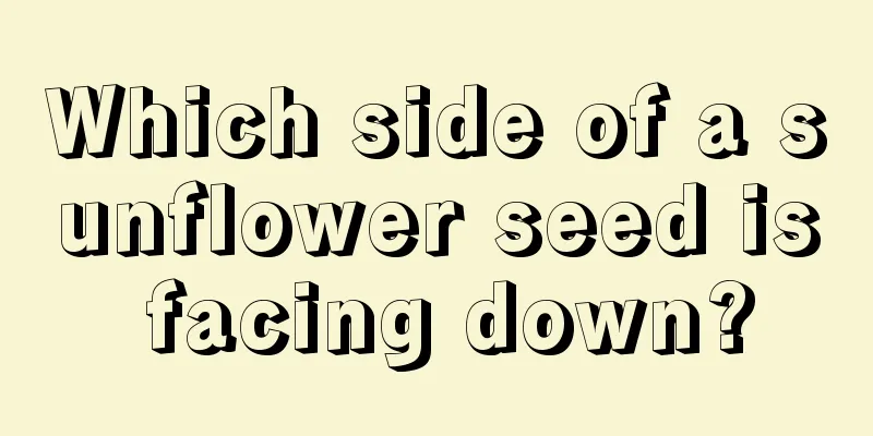 Which side of a sunflower seed is facing down?