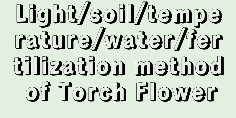 Light/soil/temperature/water/fertilization method of Torch Flower