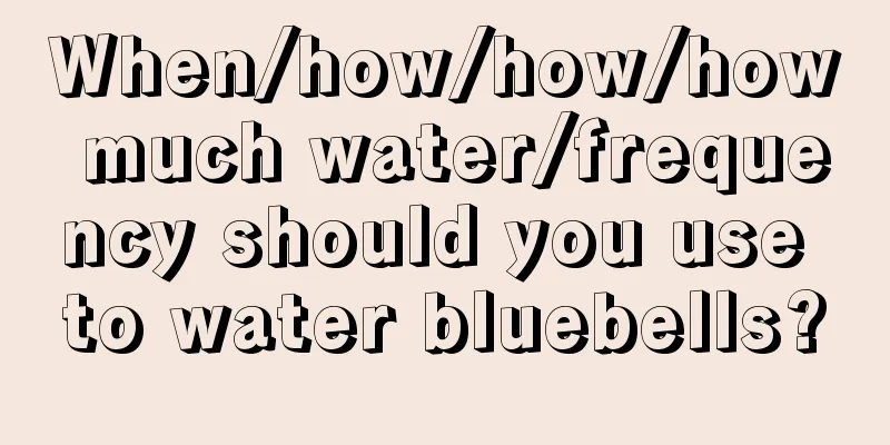 When/how/how/how much water/frequency should you use to water bluebells?