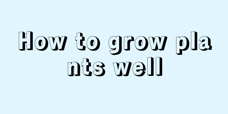 How to grow plants well