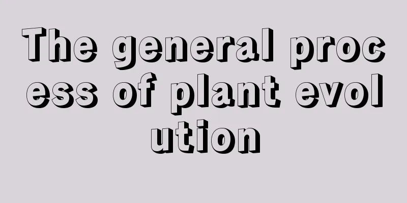 The general process of plant evolution