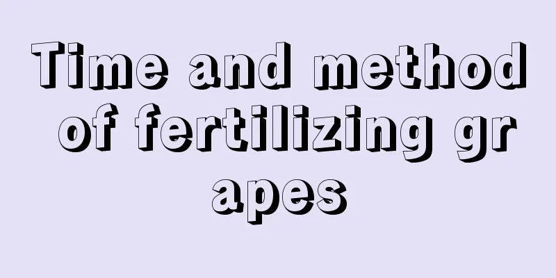 Time and method of fertilizing grapes