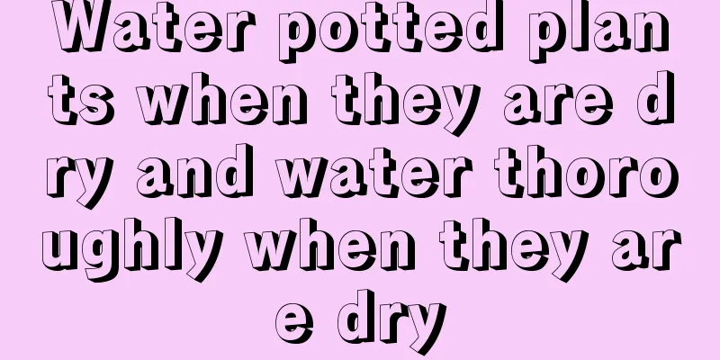 Water potted plants when they are dry and water thoroughly when they are dry