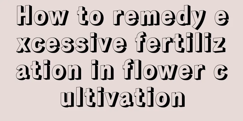 How to remedy excessive fertilization in flower cultivation