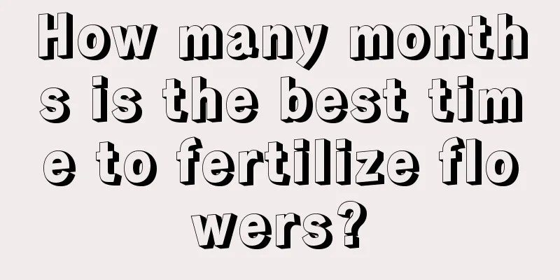 How many months is the best time to fertilize flowers?