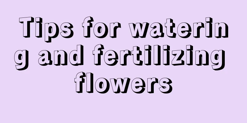 Tips for watering and fertilizing flowers