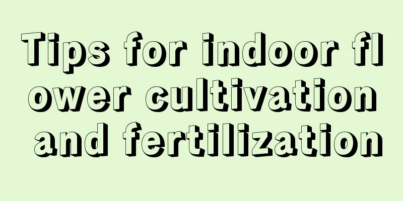 Tips for indoor flower cultivation and fertilization