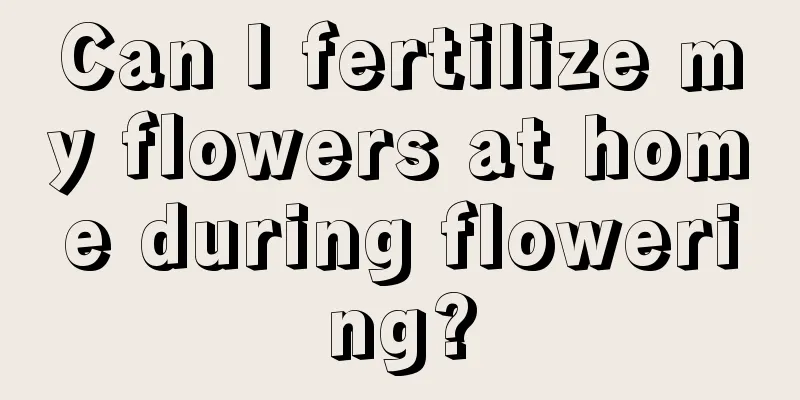 Can I fertilize my flowers at home during flowering?