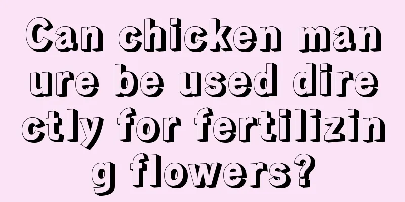 Can chicken manure be used directly for fertilizing flowers?