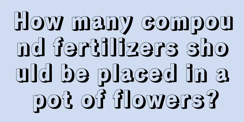 How many compound fertilizers should be placed in a pot of flowers?