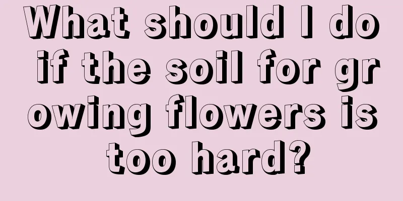 What should I do if the soil for growing flowers is too hard?