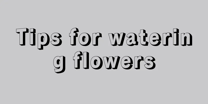 Tips for watering flowers