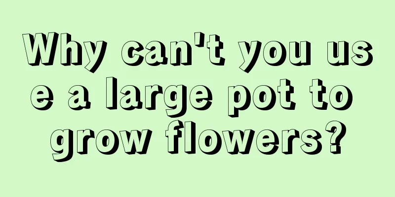 Why can't you use a large pot to grow flowers?