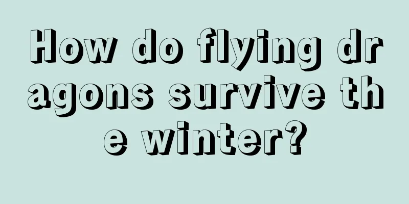 How do flying dragons survive the winter?