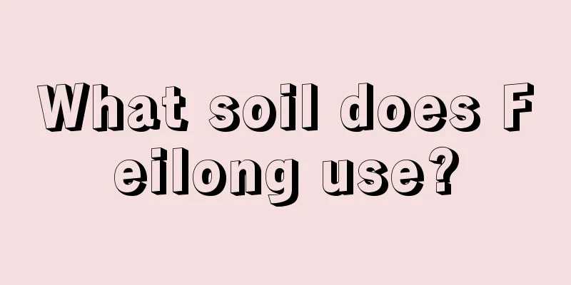 What soil does Feilong use?