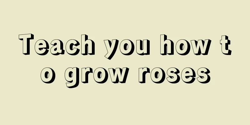 Teach you how to grow roses