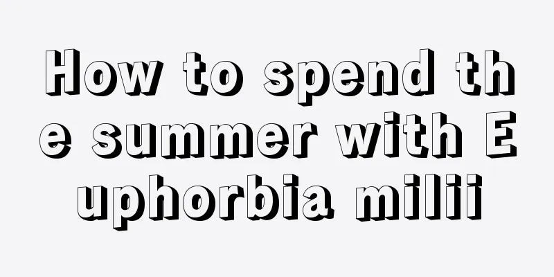 How to spend the summer with Euphorbia milii