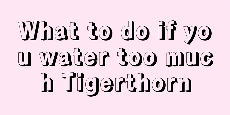 What to do if you water too much Tigerthorn