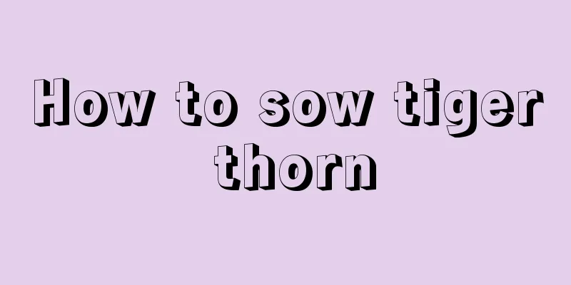 How to sow tiger thorn