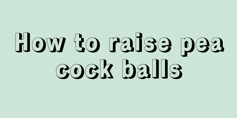 How to raise peacock balls