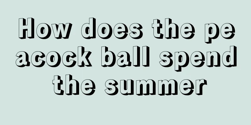 How does the peacock ball spend the summer