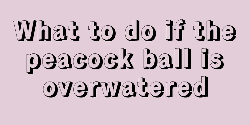 What to do if the peacock ball is overwatered