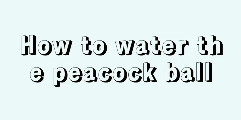 How to water the peacock ball