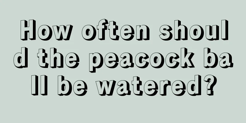 How often should the peacock ball be watered?