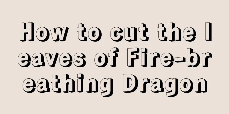 How to cut the leaves of Fire-breathing Dragon