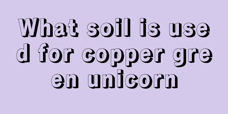 What soil is used for copper green unicorn