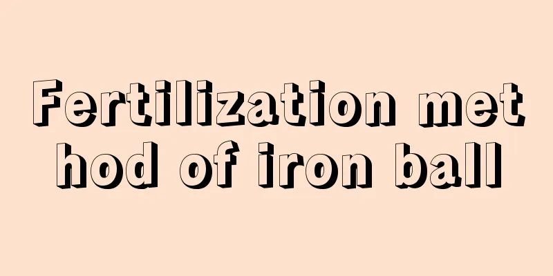 Fertilization method of iron ball