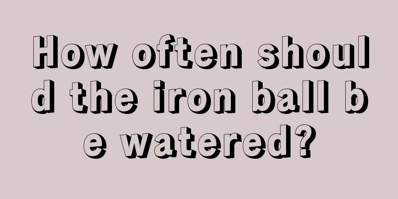 How often should the iron ball be watered?