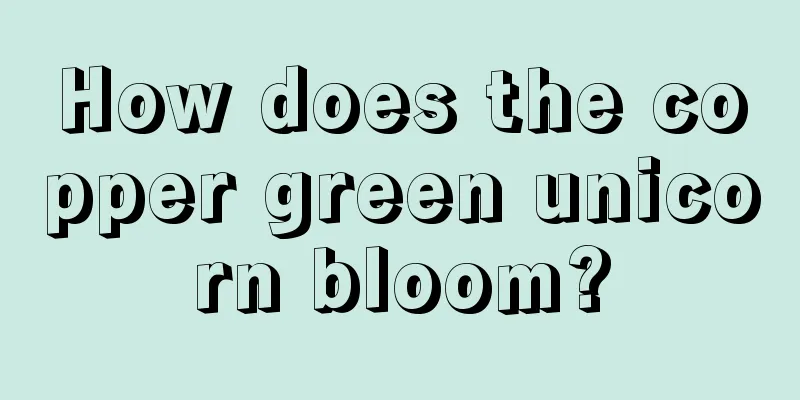 How does the copper green unicorn bloom?