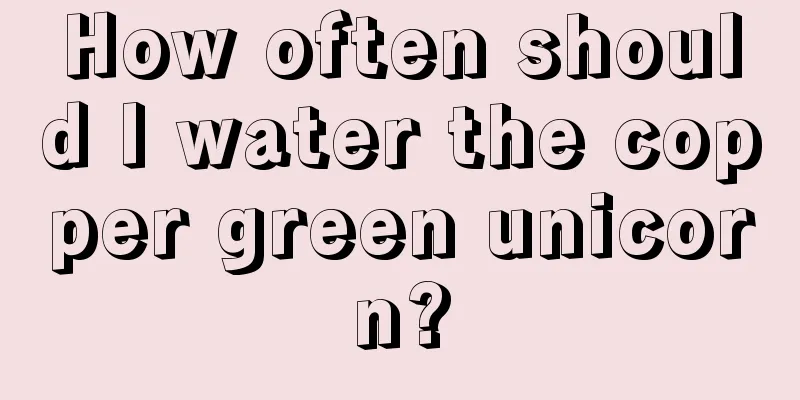 How often should I water the copper green unicorn?