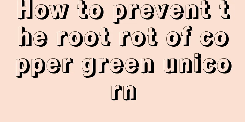 How to prevent the root rot of copper green unicorn