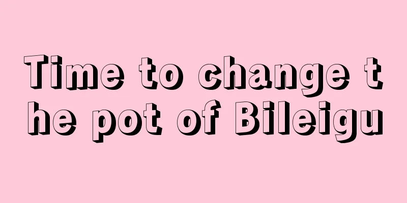 Time to change the pot of Bileigu