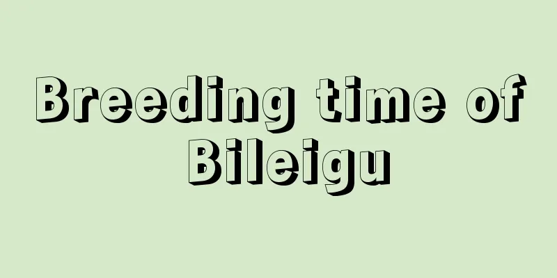 Breeding time of Bileigu