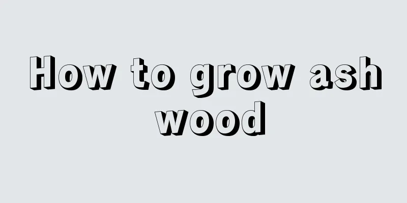 How to grow ash wood