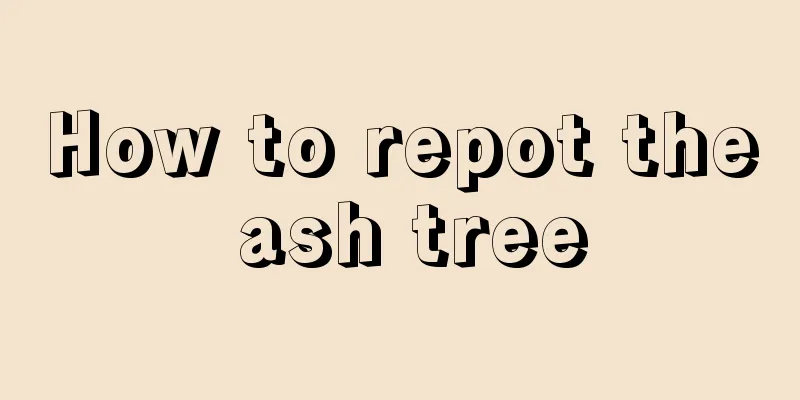 How to repot the ash tree