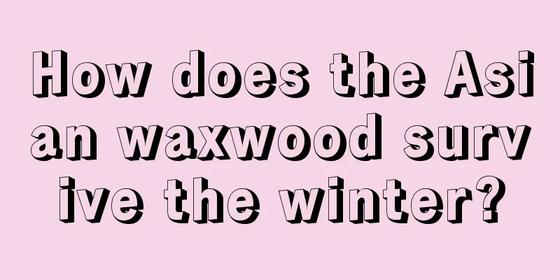 How does the Asian waxwood survive the winter?