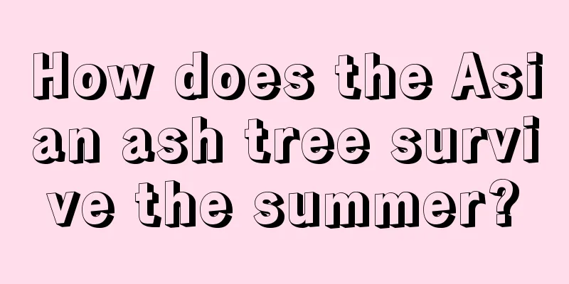 How does the Asian ash tree survive the summer?