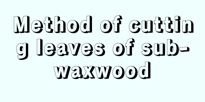 Method of cutting leaves of sub-waxwood