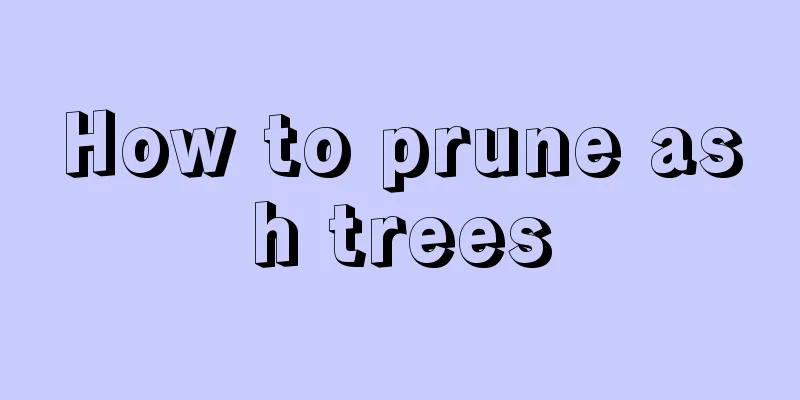 How to prune ash trees