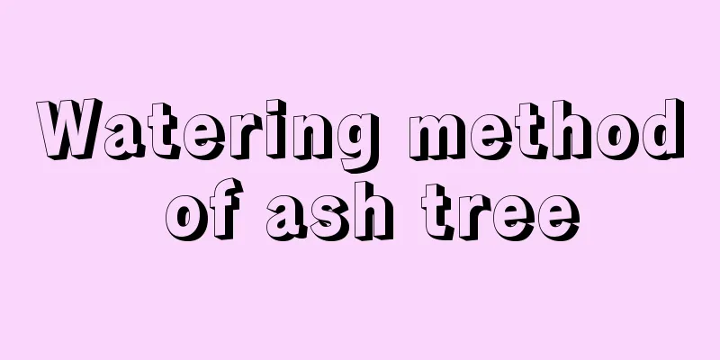 Watering method of ash tree